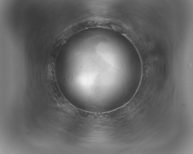 X0000076221397200609281100