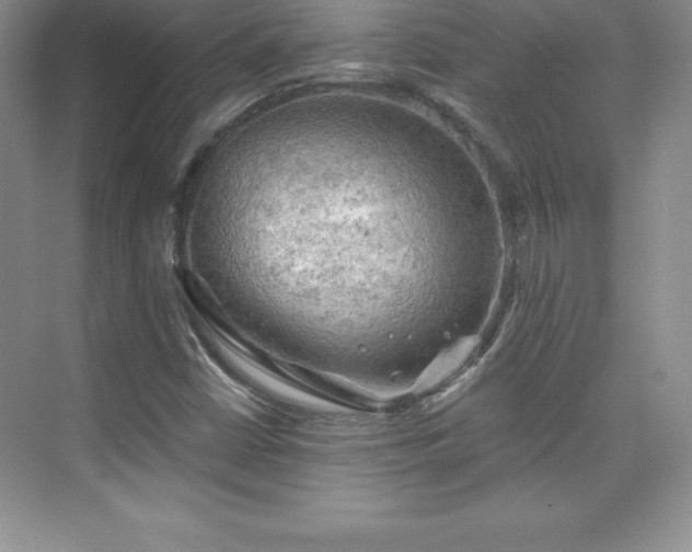 X0000076221402200609281100