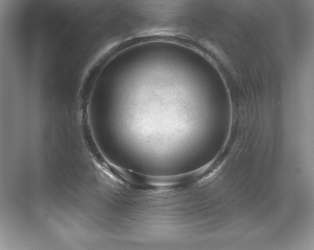 X0000076221406200609281100