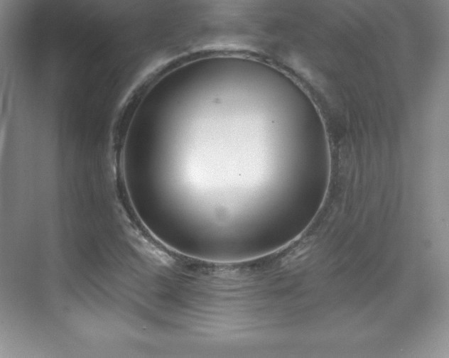 X0000076221408200609281100