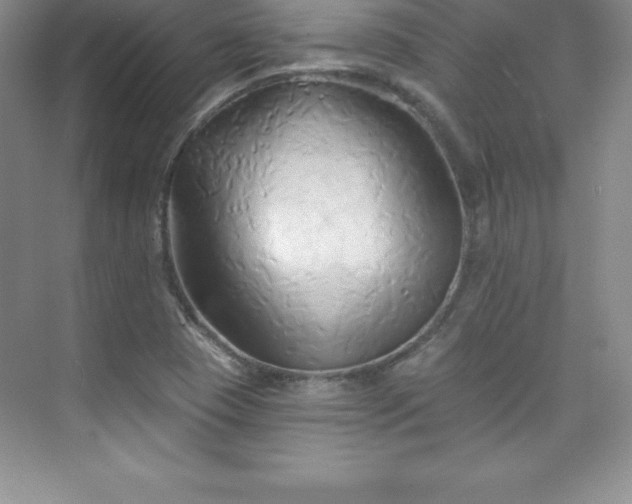 X0000076221409200609281100