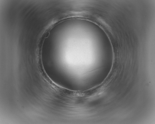 X0000076221411200609281101