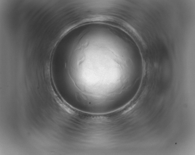 X0000076221417200609281101