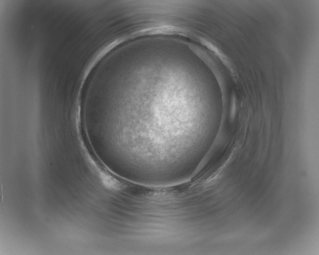 X0000076221418200609281101