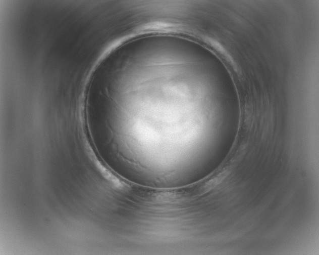 X0000076221421200609281101