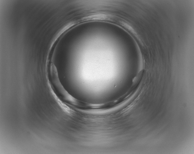 X0000076221426200609281101