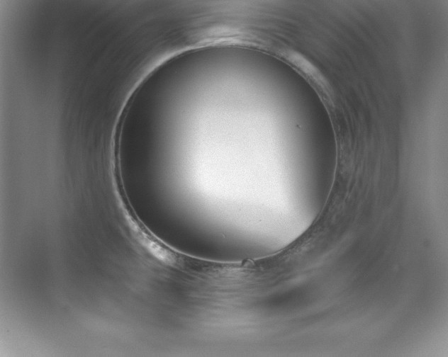 X0000076221431200609281101