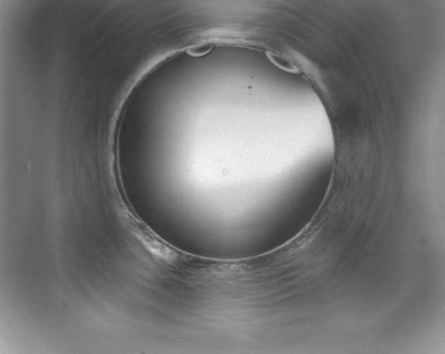 X0000076221435200609281101