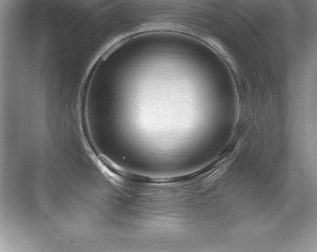 X0000076221438200609281101