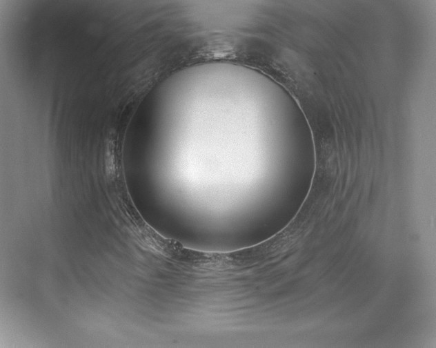 X0000076221442200609281100