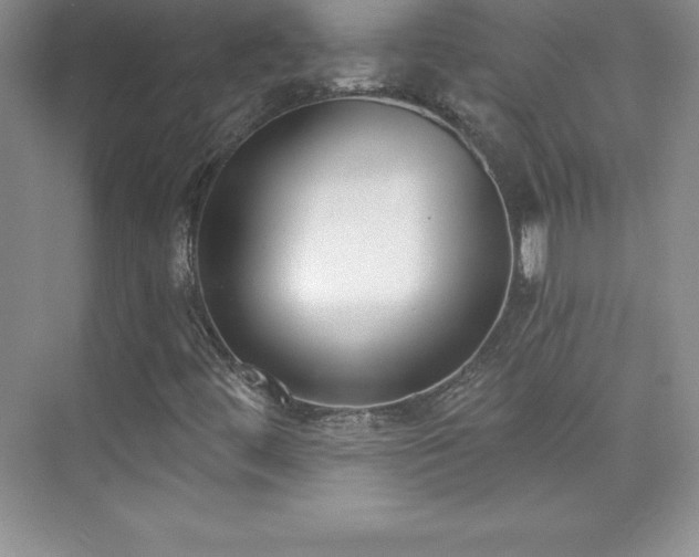 X0000076221444200609281100