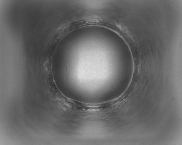 X0000076221445200609281100