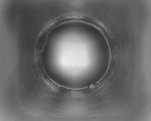 X0000076221448200609281100