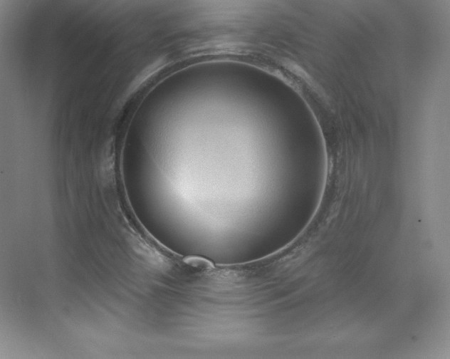 X0000076221450200609281100