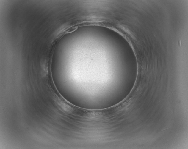 X0000076221451200609281100