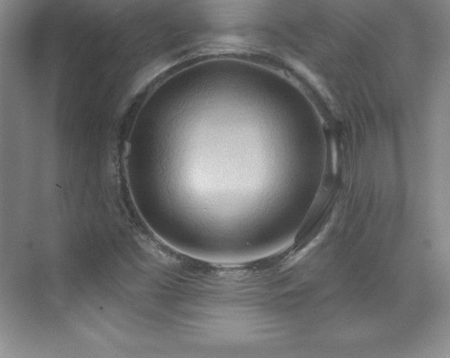 X0000076221453200609281100