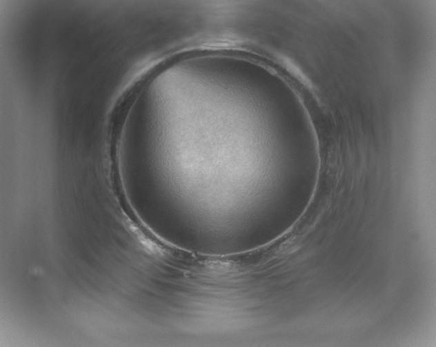 X0000076221456200609281100