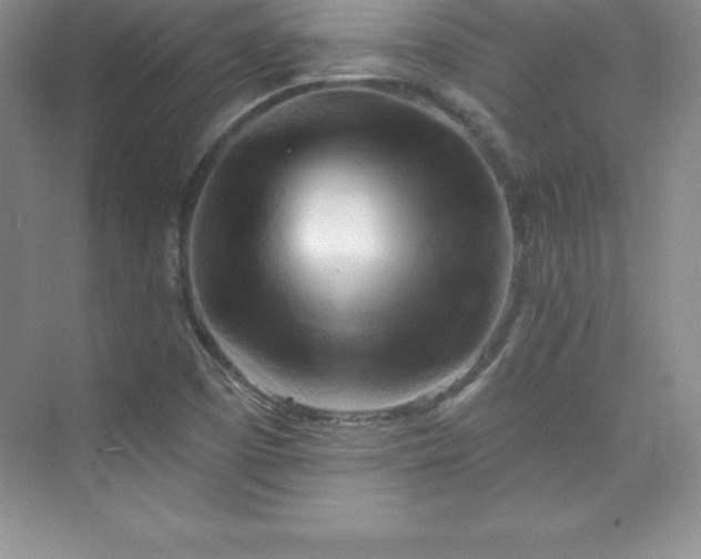 X0000076221457200609281100