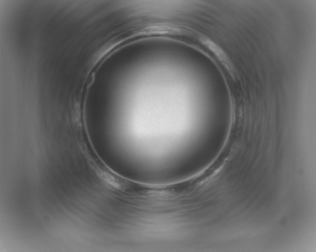 X0000076221465200609281100