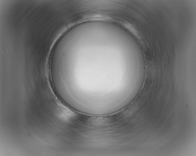 X0000076221474200609281100