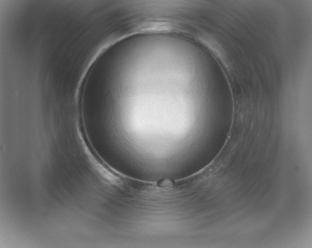 X0000076221475200609281100