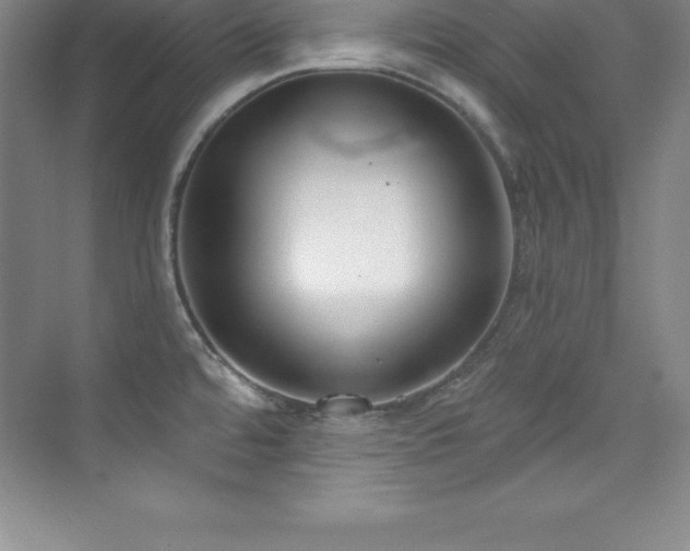 X0000076221480200609281100