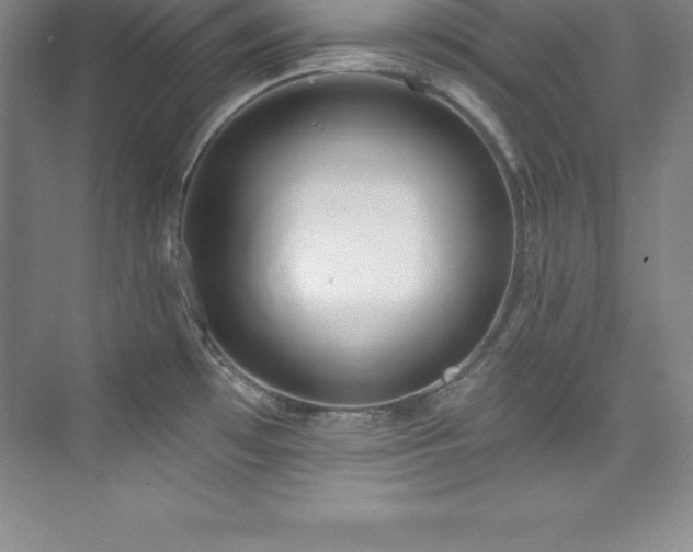 X0000076221481200609281100