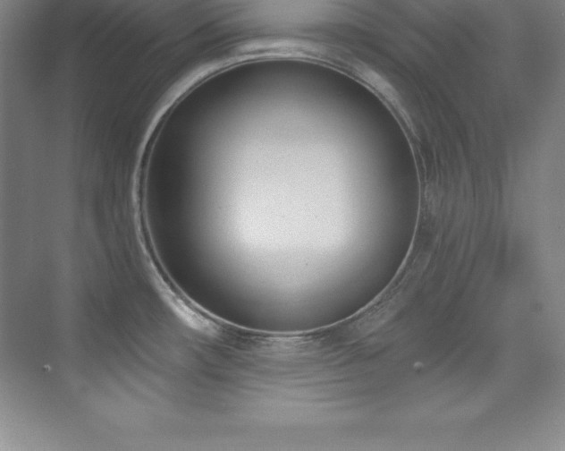 X0000076221482200609281100