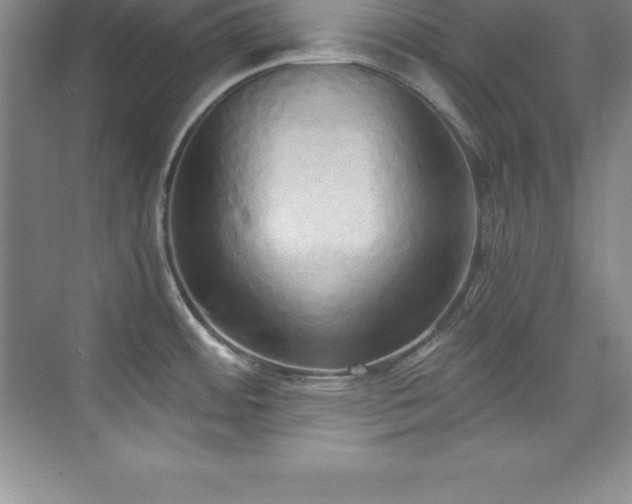 X0000076221484200609281059