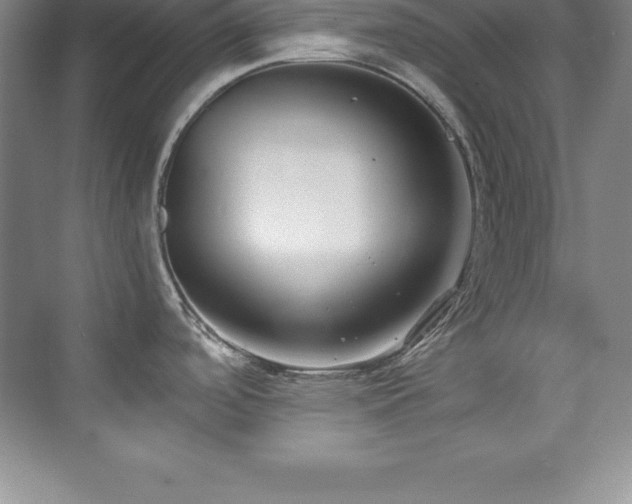 X0000076221488200609281059