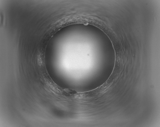 X0000076221490200609281059
