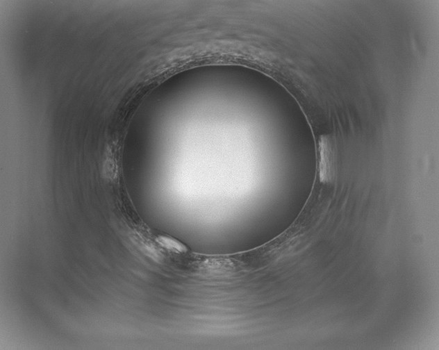 X0000076221491200609281059