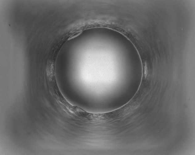 X0000076221492200609281059