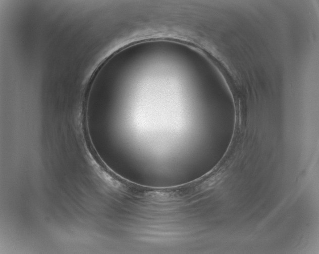 X0000076221500200609281059