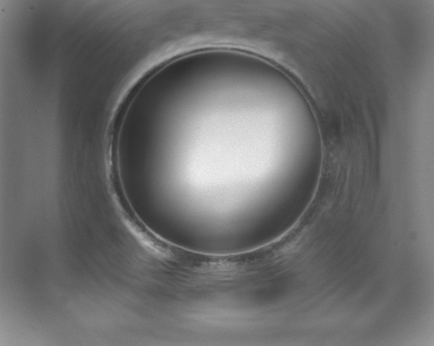 X0000076221511200609281059