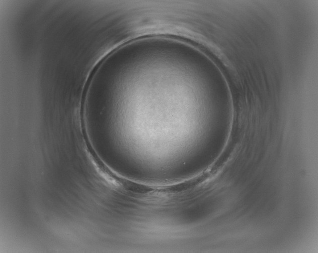 X0000076221513200609281059