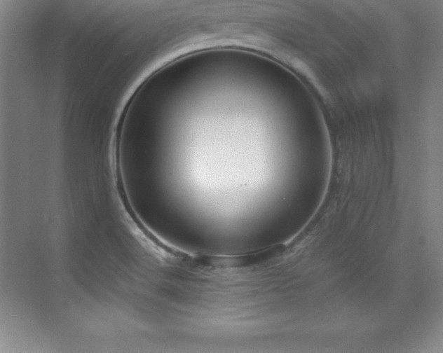 X0000076221516200609281059