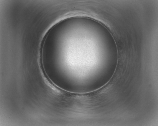 X0000076221518200609281059