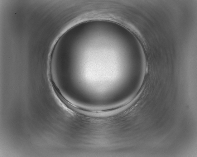 X0000076221528200609281059