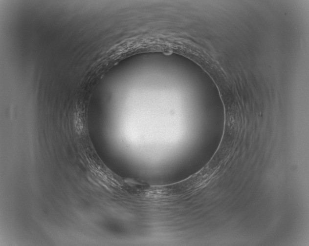 X0000076220002200610051051
