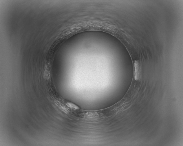 X0000076220003200610051051
