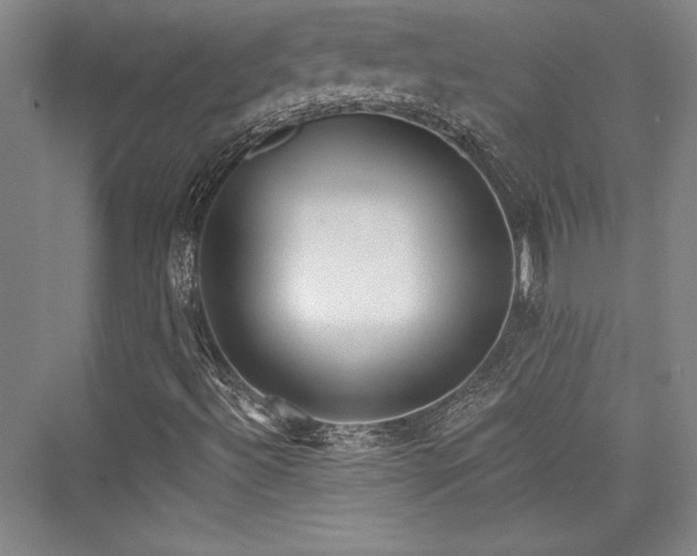 X0000076220004200610051051