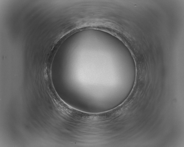 X0000076220009200610051051