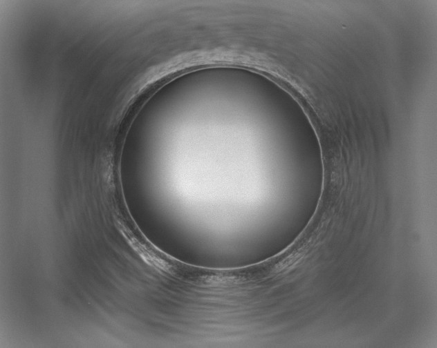 X0000076220011200610051051