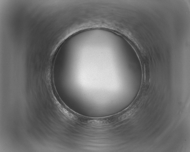 X0000076220012200610051051