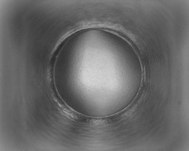 X0000076220013200610051051