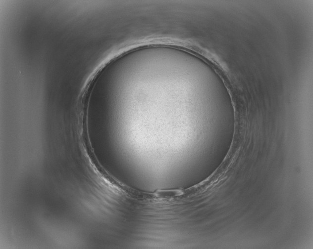 X0000076220016200610051051
