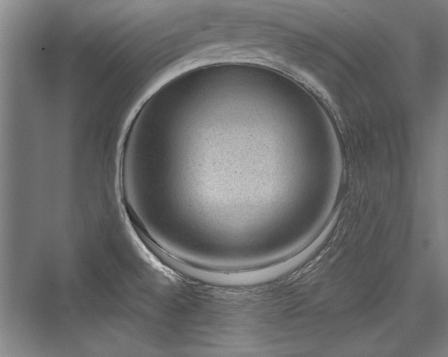X0000076220040200610051052
