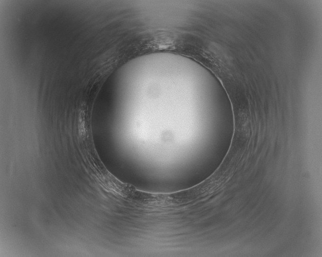 X0000076220050200610051052
