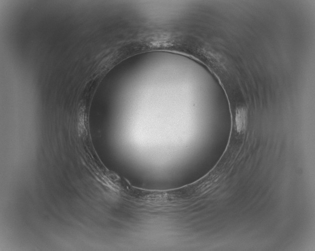 X0000076220052200610051052